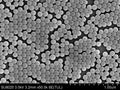 Alpha Nanotech Colloidal Polystyrene Beads (Non-Functionalized; 100 nm, 50 mg/ml, 10 ml)