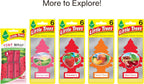LITTLE TREES Air Fresheners Car Air Freshener. Hanging Tree Provides Long Lasting Scent for Auto or Home. Watermelon, 24 Air Fresheners