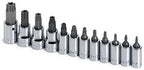 SK Hand Tools 19768 12-Piece 1/4-Inch and 3/8-Inch Drive Tamper-Proof Torx Bit Socket Set