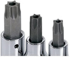 SK Hand Tools 19768 12-Piece 1/4-Inch and 3/8-Inch Drive Tamper-Proof Torx Bit Socket Set