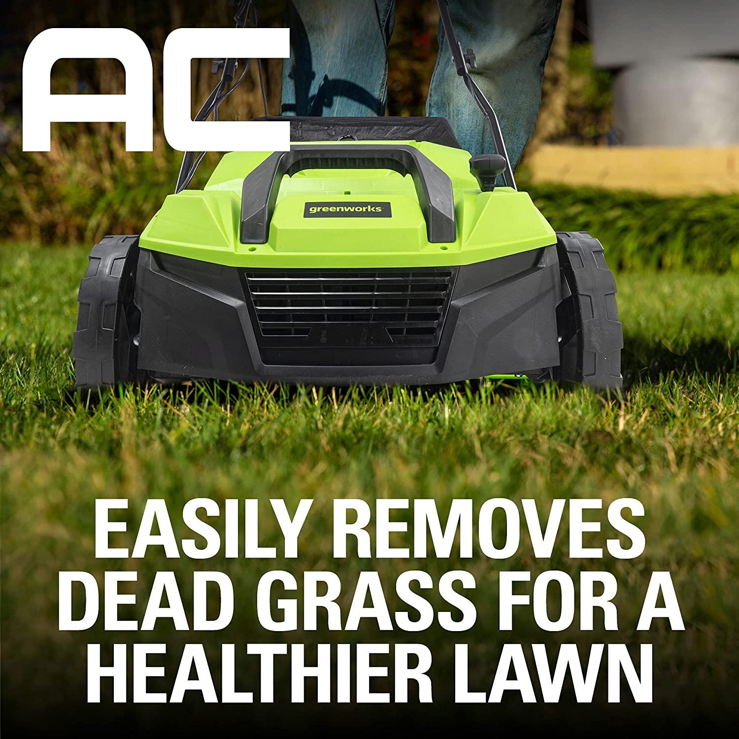 Greenworks 13 Amp 14-Inch Corded Dethatcher / Scarifier, DT13B00