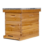 8 Frame Bee Hive Complete Beehive Kit,Honey Bee Hives Includes 1 Deep Bee Boxes, 1 Bee Hive Super with Beehive Frames and Foundation