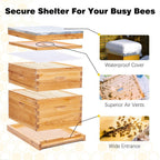 8 Frame Bee Hive Complete Beehive Kit,Honey Bee Hives Includes 1 Deep Bee Boxes, 1 Bee Hive Super with Beehive Frames and Foundation