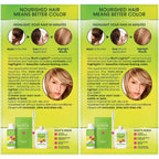 Garnier Hair Color Nutrisse Nourishing Creme, H2 Golden Blonde Permanent Hair Dye, 2 Count (Packaging May Vary)