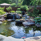 Aquascape PRO Grade 45 MIL EPDM Fish-Safe Pond and Fountain Liner 10 x 8, 80 sq ft, ft ft, Black
