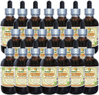 Chickweed (Stellaria Media) Tincture, Organic Dried Above-Ground Parts Liquid Extract (Brand Name: HerbalTerra, Proudly Made in USA) 20x4 fl.oz (20x120 ml)