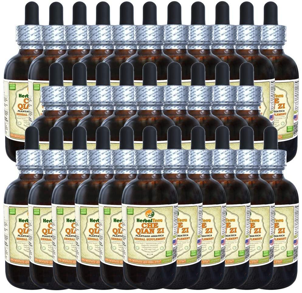 Che Qian Zi (Plantago asiatica) Tincture, Dried Seeds Liquid Extract (Brand Name: HerbalTerra, Proudly Made in USA) 30x2 fl.oz (30x60 ml)