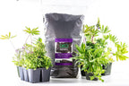 The Good Earth Organics, Gaia's Gift Premium Potting Soil, Organic Potting Soil for Heavy Feeding Plants Like Tomatoes, Hops & More (10 Gallon)