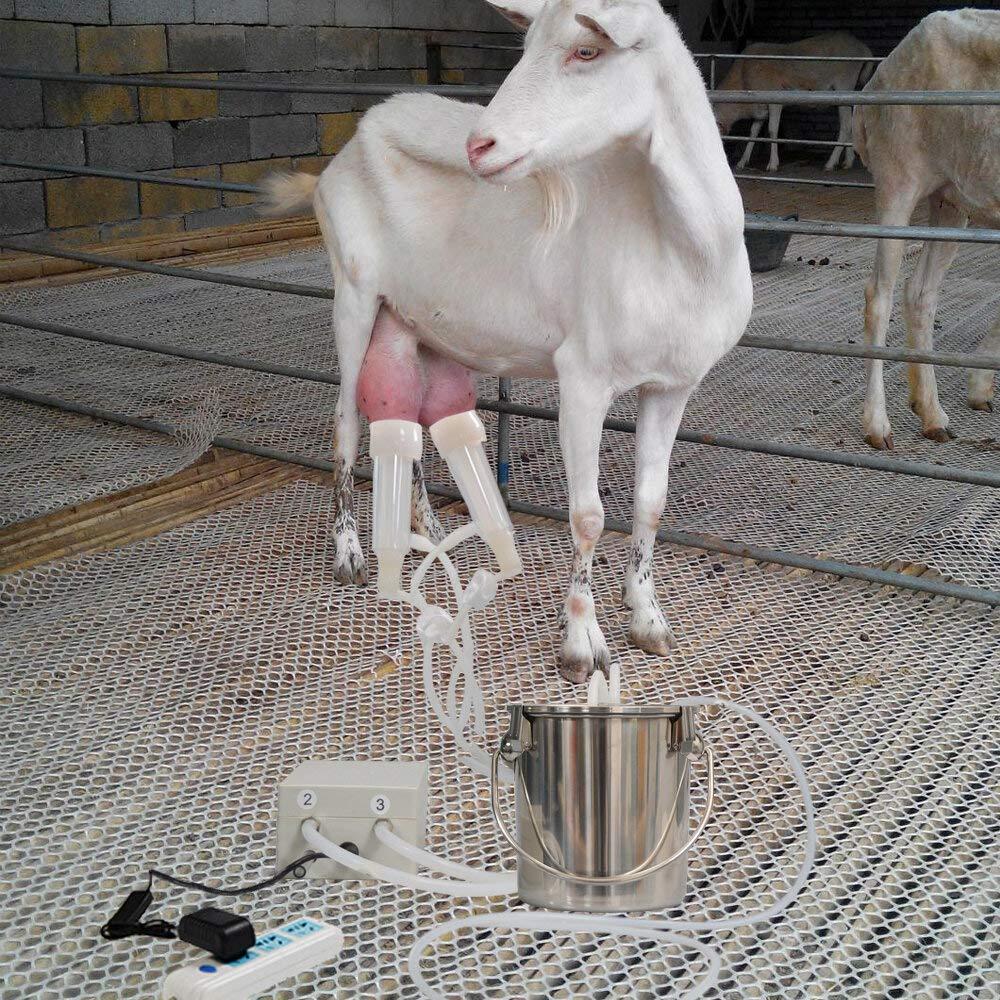CJWDZ MilMachine for Goats Cows, Pulsation Vacuum Pump Milker, MilSupplies W/ Steel Bucket, Portable Suction Machine for Jerseys, Nigerian Dwarfs, Nubian Mix (Goat, 3L)