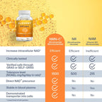 Elevant Optima NMN Supplement | NAD Booster | 3rd Party Tested, Ultra-Pure, More Direct Than NR | Nicotinamide Mononucleotide for Health, Energy, Aging, Vitality, Brain Health | 360 Count 125 MG