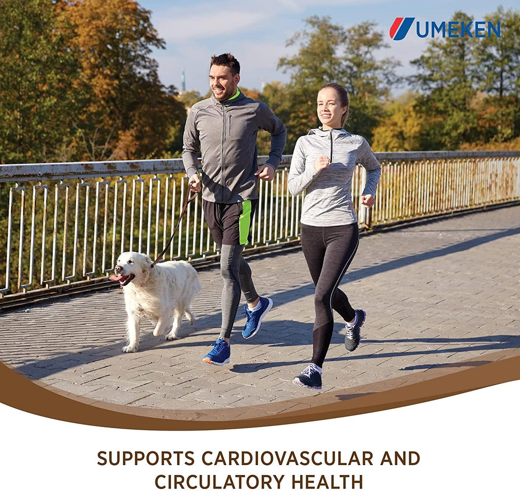 Umeken Nattokinase Plus Fucoidan for Circulatory Support - 2500FU Natto, Supports Healthy Blood Pressure, Health and Wellness Supplements, 60 Packets (Pack of 2)
