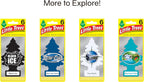 LITTLE TREES Air Fresheners Car Air Freshener. Hanging Tree Provides Long Lasting Scent for Auto or Home. Royal Pine, 24 Air Fresheners