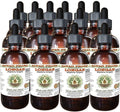Longan (Euphoria Longan) Tincture, Dried Peel Liquid Extract, Longan, Glycerite Herbal Supplement 30x2 oz