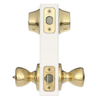 Tylo Polished Brass Entry Door Knob and Double Cylinder Deadbolt Combo Pack with Microban Antimicrobial Technology