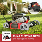 PowerSmart Lawn Mower Gas Powered - 21 Inch & 144CC 4-Stroke Engine, 5 Adjustable Heights (1.18''-3.0''), Oil Included