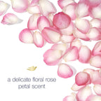 Dove Antiperspirant Deodorant Stick 48 Hour Protection And Soft And Comfortable Underarms Rose Petals Deodorant for Women, 2.6 Ounce (Pack of 4)
