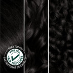 Garnier Hair Color Nutrisse Nourishing Creme, 10 Black (Licorice) Permanent Hair Dye, 1 Count (Packaging May Vary)