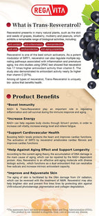 REGA VITA NMN12000MG 60 Capsules Ultra High Purity NMN β-Nicotinamide Mononucleotide Booster Supplement Plus Trans-Resveratrol NAD+ Booster (1)