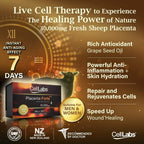 CellLabs Sheep Placenta Forte Plus 30,000mg Premium Quality Stem Cell Supplement, Anti-Aging, Rich Antioxidant, Speedy Healing, Vitality, Enhance Immunity, 60's enteric Capsule