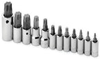 SK Hand Tools 84232 12-Piece Torx Plus Bit Socket Set