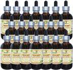 African Mango, Black Myrobalan (Irvingia Gabonensis) Dried Seed Liquid Extract (Brand Name: HerbalTerra, Proudly Made in USA) 20x4 oz