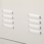 Signature Series 36 in. 304  Steel Double Access Door with Vents