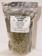 Moringa Oleifera Leaf Capsules Non GMO - All Natural- 100% Pure Leaf Powder! (5000) - Made Fresh On Demand!