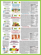 Andrew Lessman 4 Product Customer Favorites Bundle – 360 Capsules Each of Circulation & Vein Support, Essential 1, Glucosamine 1500 Chondroitin 1200, & Andrew’s Five Favorites. Promotes Overall Health