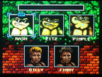 Battletoads Double Dragon Secondhand Regular Version North American