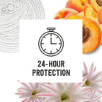 Schmidt's 100% Natural Origin Ingredient Deodorant Stick Fresh Rain &amp; Birch 2 Count for 24-Hour Odor Protection 2.65 oz