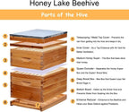 Honey Lake 8-Frame Bee Hive 1 Brood Beehive Box and 1 Medium Bee Hive Super Box,Bee Hives and Supplies Starter Kit Include Beehive Frames and Foundation Sheet