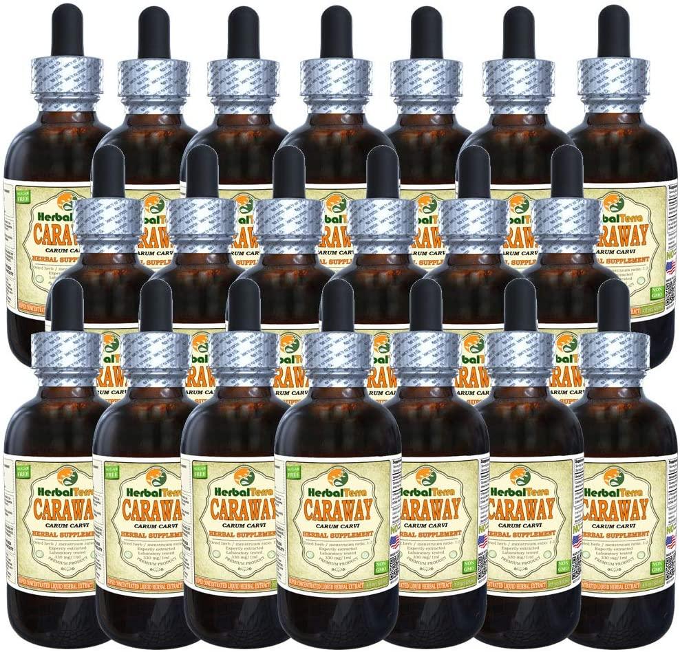 Caraway (Carum Carvi) Tincture, Organic Dried Fruits Liquid Extract (Brand Name: HerbalTerra, Proudly Made in USA) 20x4 fl.oz (20x120 ml)