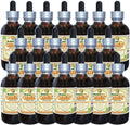 Caraway (Carum Carvi) Tincture, Organic Dried Fruits Liquid Extract (Brand Name: HerbalTerra, Proudly Made in USA) 20x4 fl.oz (20x120 ml)