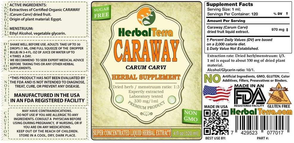 Caraway (Carum Carvi) Tincture, Organic Dried Fruits Liquid Extract (Brand Name: HerbalTerra, Proudly Made in USA) 20x4 fl.oz (20x120 ml)