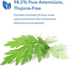 Allergy Research Group - Artemisinin - Microbial Balancer - 300 Vegetarian Capsules