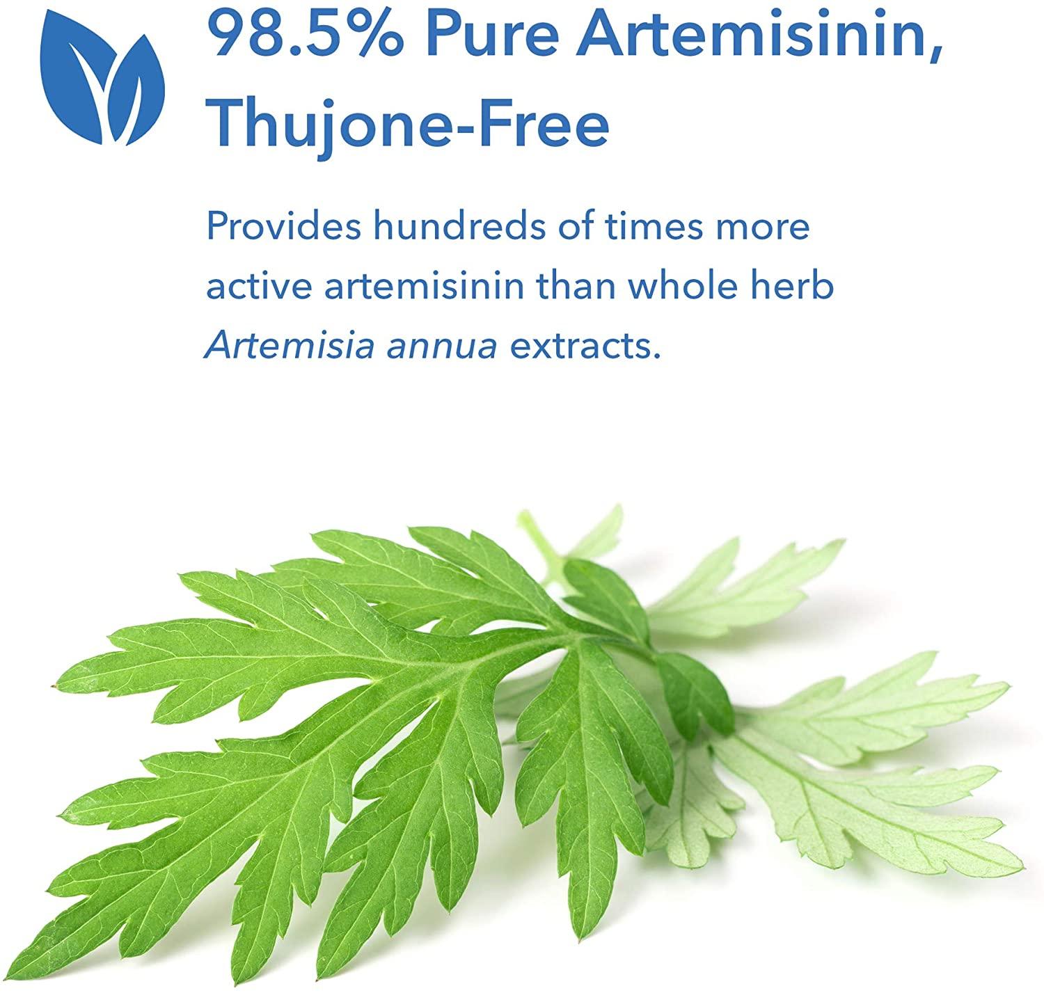 Allergy Research Group - Artemisinin - Microbial Balancer - 300 Vegetarian Capsules