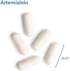 Allergy Research Group - Artemisinin - Microbial Balancer - 300 Vegetarian Capsules