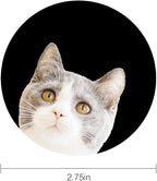 Cute Cat Funny Cat Car Coasters, 2PCS 2.75" Car Cup Holder Coasters Silicone Car Cup Holder Insert Coasters for Women Car Interior Accessory by FLYEEGO
