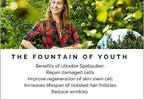 Stem Cell Supplement (4packs,30 sact)Strengthen Your Immune System with Superlife Stc30, No1 Immunity Booster !Clinicaly Proven to Restore and Reactivate Your Stem Cells (1pk is 15sact)